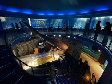 京急油壺マリンパークに投稿された画像（2020/2/24）