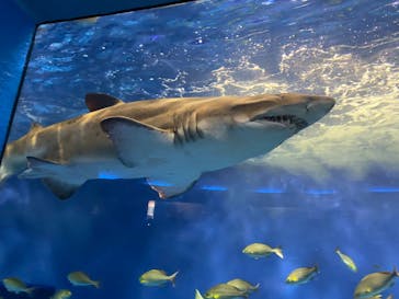 京急油壺マリンパークに投稿された画像（2020/2/24）