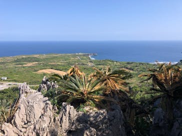 アスムイハイクスに投稿された画像（2020/2/24）