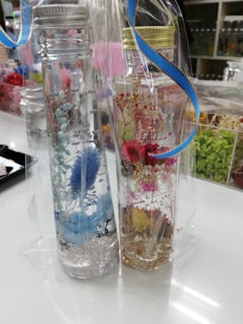 ずこうしつ〜sugamo〜に投稿された画像（2020/2/24）