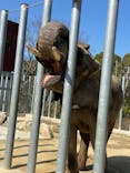 しろとり動物園に投稿された画像（2020/2/24）