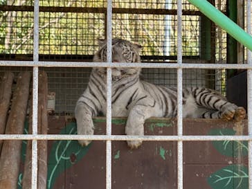しろとり動物園に投稿された画像（2020/2/24）