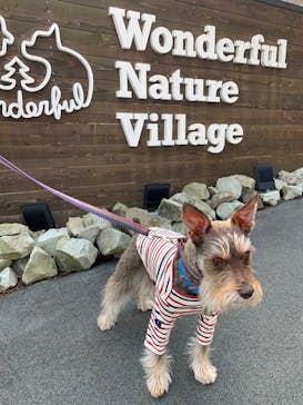 わんダフルネイチャーヴィレッジに投稿された画像（2020/2/24）