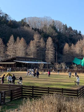 わんダフルネイチャーヴィレッジに投稿された画像（2020/2/24）