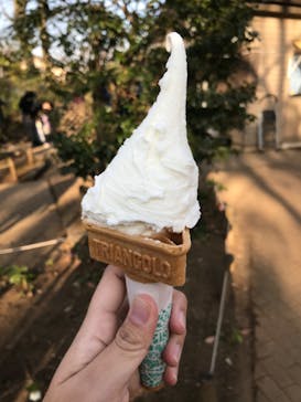 ふなばしアンデルセン公園に投稿された画像（2020/2/24）