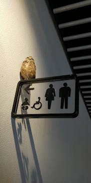 NIFREL（ニフレル）に投稿された画像（2020/2/24）