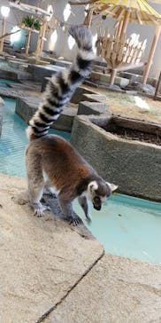 NIFREL（ニフレル）に投稿された画像（2020/2/24）