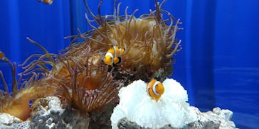 NIFREL（ニフレル）に投稿された画像（2020/2/24）