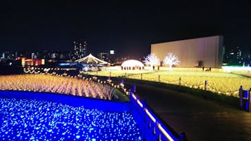 東京メガイルミに投稿された画像（2020/2/24）