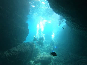 武藤潜水に投稿された画像（2020/2/25）