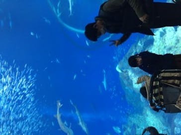 アクアワールド茨城県大洗水族館に投稿された画像（2020/2/25）