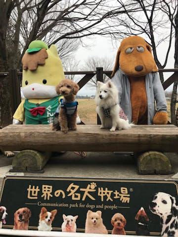 ナッツもち さまが 2 25 火に投稿した口コミ アソビュー ナッツもち さまが 2 25 火に投稿した口コミ アソビュー