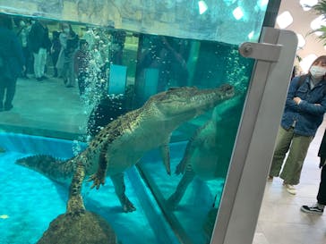 NIFREL（ニフレル）に投稿された画像（2020/2/25）