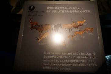 国立科学博物館に投稿された画像（2020/2/24）