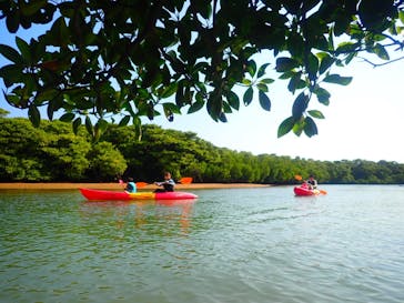 石垣島 ADVENTURE PiPi（イシガキジマアドベンチャーピピ）に投稿された画像（2020/2/26）