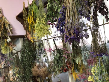 Florilege（フロリレージュ）に投稿された画像（2020/2/26）