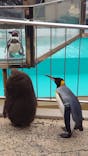 下田海中水族館に投稿された画像（2020/2/26）