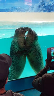 下田海中水族館に投稿された画像（2020/2/26）