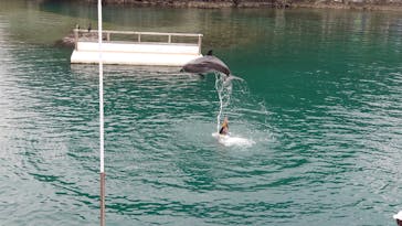 下田海中水族館に投稿された画像（2020/2/26）