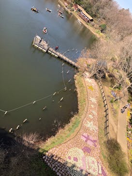 ふなばしアンデルセン公園に投稿された画像（2020/2/26）