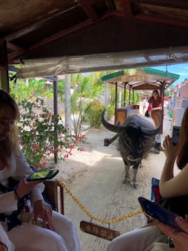 石垣島ドリーム観光に投稿された画像（2020/2/26）