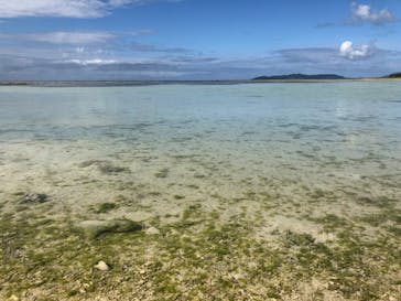 石垣島ドリーム観光に投稿された画像（2020/2/26）