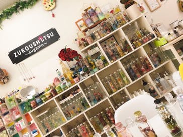 ずこうしつ〜sugamo〜に投稿された画像（2020/2/27）