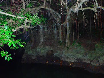 石垣島 ADVENTURE PiPi（イシガキジマアドベンチャーピピ）に投稿された画像（2020/2/27）