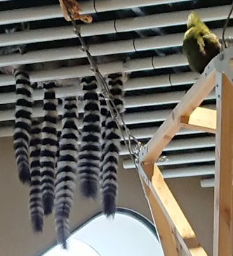 NIFREL（ニフレル）に投稿された画像（2020/2/28）