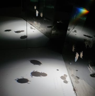 NIFREL（ニフレル）に投稿された画像（2020/2/28）