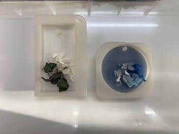 ずこうしつ〜sugamo〜に投稿された画像（2020/2/28）