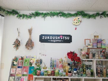 ずこうしつ〜sugamo〜に投稿された画像（2020/2/28）