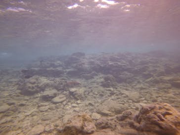 ダイブロックに投稿された画像（2020/2/28）