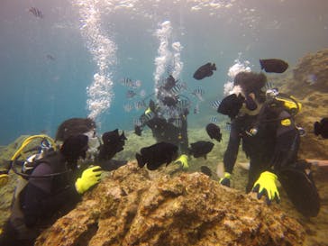 ダイブロックに投稿された画像（2020/2/28）