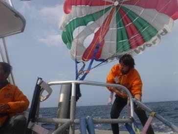 Sea World（シーワールド）に投稿された画像（2020/2/28）