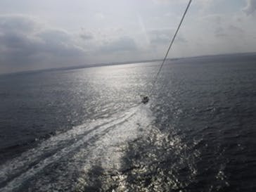 Sea World（シーワールド）に投稿された画像（2020/2/28）