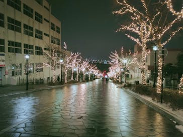 函館まちあるきガイドに投稿された画像（2020/2/28）