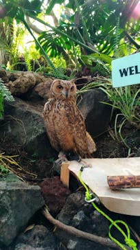 伊豆シャボテン動物公園に投稿された画像（2020/2/28）