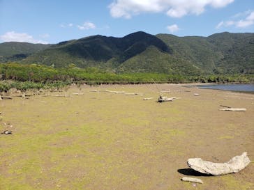 マングローブ茶屋に投稿された画像（2020/2/28）