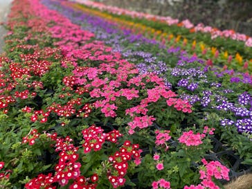 沖縄こどもの国に投稿された画像（2020/2/29）