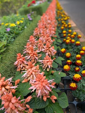 沖縄こどもの国に投稿された画像（2020/2/29）