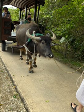 ビオスの丘に投稿された画像（2020/2/29）