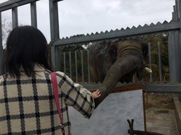 しろとり動物園に投稿された画像（2020/2/29）