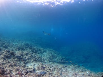 ドロップイン 沖縄に投稿された画像（2020/2/29）