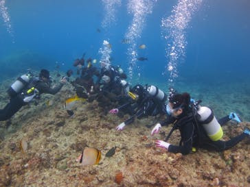 ドロップイン 沖縄に投稿された画像（2020/2/29）