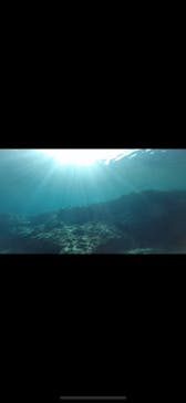 DIVING-SHOP SUNSに投稿された画像（2020/3/1）