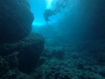 Okinawa Diving sun's（オキナワダイビング　サンズ）に投稿された画像（2020/3/1）