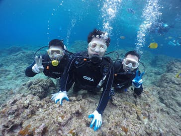 武藤潜水に投稿された画像（2020/3/1）