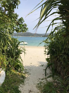 奄美海族塾に投稿された画像（2020/3/1）