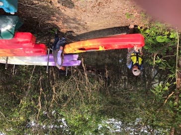 奄美海族塾に投稿された画像（2020/3/1）